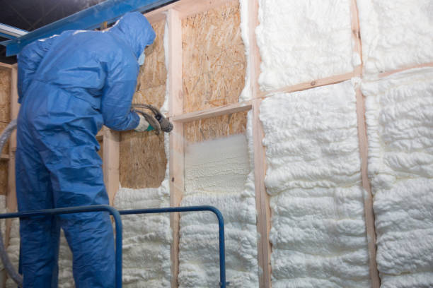 Best Eco-Friendly or Green Insulation Solutions in Elyria, OH